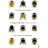 Vintage A Sting in the Tale: My Adventures with Bumblebees
