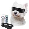 CEASELESLY Occhiali da Sole per Cani Piccola Taglia, Nero | Protezione UV, Cinturino Elastico Regolabile, Antivento, Per Cani Taglia Piccola Media