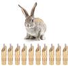 BauphryX 10 pezzi di beccuccio automatico per abbeveratoi per conigli, abbeveratoio per animali da allevamento con beccuccio in acciaio inox a 360°, di abbeveraggio a goccia senza