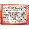 Empireposter puzzle da 1000 pezzi - Puzzle - Mondo dei gatti + set di 3 accessori per puzzle DeLuxe