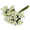 Generico Fiorellini per bomboniera 144 Pistilli | Vari Colori | Fiori per BOMBONIERE Mini Berry Shiny Eventi Matrimonio Battesimo Comunione (Crema)