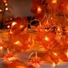 Sunshine smile Catena luminosa con foglie d'acero, 1,5 m, 10 LED, Halloween, foglie d'acero, zucca, ghirlanda di luci autunnale, foglie d'acero, per feste autunnali
