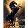 YSCOLOR Diamond Painting Kit Di Pittura Diamante 5D Per Adulti Horse Mountain Kit Di Diamanti Fai Da Te Animal Cliff Rotondo Strass 30x40cm