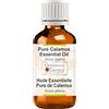 Greenwood Essential Pure Calamus (Acorus Calamus) Essential Oil 100% Natural Therapeutic Grade Steam Distilled 15ml (0.50 oz)