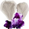 MINFEIDMS Stampo in silicone a forma di petali di tulipano, per fondente e | Cake Decorating Cupcake Topper Candy Cioccolato Gomma Pasta Pasta Polimero