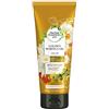 Herbal Essences Balsamo Pure Olio di Moringa Dorato Dolcezza, 90% di ingredienti di origine naturale, senza parabeni, senza coloranti, senza siliconi, senza paraffina, confezione da 200 ml x 3