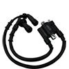 MTPIVFD Bobina di Accensione Moto Per Benelli Per BJ150S BJ150-31 Per KEEWAY RKF 125 4T 2-Pin LH2507111 Bobina Di Accensione Moto