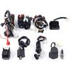 Frederimo Set di cablaggio CDI, raddrizzatore, bobina di statore elettrico, cavo elettrico completo per ATV Quad Bike Buggy 150-250 300CC