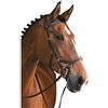 Horseware Ireland Micklem Finimenti Equitazione Briglie Rambo - pelle, marrone, intero