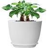 UOUZ Vaso grande da 30,5 cm, moderno vaso in plastica con fori alti e sottovaso, per piante e fiori da giardino per interni ed esterni, bianco