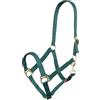 Imperial Riding Cavezza Economica, Robusta Cavezza in Nylon da 25 mm, Fibbia Regolabile a moschettone, Resistente e Facile da Pulire, per Allenamento, stalla e Tutti i Giorni, Verde Foresta, Piena