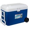Wsymxuo Ghiacciaia con Ruote Rigido Frigo Portatile con Ruote Pratico Ghiacciaia Portatile Maniglia per Campeggio, color to 1