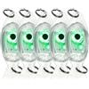 Generico Set da 5 lampade Ultra-Luminose per trappole da Pesca, Esche Luminose Impermeabili per Pesca in acque Profonde, galleggianti notturni, lampade LED per Esche, trote e salmoni (Verde)