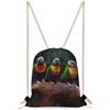 KHAUERBC Rainbow Parrots - Borsa da palestra con coulisse e cinghie regolabili, per sport, palestra, viaggi, nuoto