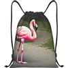 LLOTPQ Zaino con stampa fenicottero rosa con coulisse, Nero , S, Classico