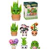 Funko POP! Mystery: Plants S2 | Gadget Ufficiale - Gadget Giocattolo da Collezione - Idea Regalo Compleanno per Fan e Collezionisti