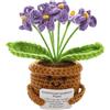 nplaseta Fiore All'Uncinetto Lavorato a Mano con Carta Motivazionale Fiori Uncinetto Pocket Hug per Regalo Decorazione Casa Scrivania (Viola)
