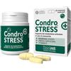 CONDROSTRESS + 30COMPRESSE MASTIC - - 976311377
