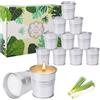 LIAILA 12 candele citronella, candele citronella esterno naturali, ideali per balconi, terrazze,candele profumate. Possono essere usate come regalo, hanno una durata di 240 ore
