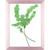 Rahmendesign24 Cornice portafoto a doppio vetro Milano 29,7 x 42 (DIN A3), in oro rosa