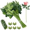 PH PandaHall 50pz Foglie di Rose Artificiali Steli di Fiori di Plastica 33cm Steli Floreali Verde per Bouquet da Sposa Fai Da Te Decorazioni per Feste di Nozze Natale Casa