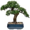 Briful Grande albero per bonsai artificiale, 41 cm, podocarpus verde in vaso di ceramica, pianta artificiale facile da pulire, per soggiorno, ufficio e decorazione