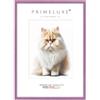 PrimeLuxe Cornice portafoto in legno, realizzata su misura, sottile, 30 x 40 cm, in rosa antico lucido, dimensioni a scelta, con vetro acrilico antiriflesso, cornice per poster, puzzle, collage