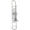IMI Trombone, passo in Sib, qualità premium con custodia e bocchino (argento)