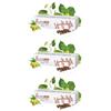 Lindaservice Tea Tree Lindas Crema 30 G 3x30 g