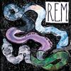 R.E.M. Reckoning (Vinyl LP) 12" Album