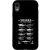Shark Ocean Wildlife Gifts Custodia per iPhone XR Design con squali del mondo e animali dell'oceano