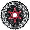 QZIVNBPM Adatto per Cassetta Leggera Alpha 11s, 11 velocità, Ruota Libera per Bici MTB, 11-46T/50T/52T - Nero Falsamaglia Catena Bici Cassette e pignoni