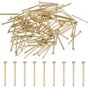 M METERXITY 100 Pcs Piccoli Chiodini 1.5mm x 25mm Chiodi Di Precisione | In Ottone, Con Testa Rotonda, Per Legno/DIY Artigianato Decorativo/Accessori Per La Casa/Appendi Quadri