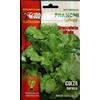 Franchi sementi semi di colza (broccoletto all'olio) in confezione da 100 grammi