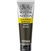 Winsor & Newton Winsor and Newton Galeria Colore Acrilico - Nero (Nero di Marte) - 120 ml (Confezione da 1)