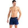 ARENA Men's Big Logo Borders Beach Short, Color 560-BLACK-SAGE, Size 3XL 560 - Black - Sage 3X-Large