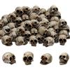MUYAPAY 20 Pezzi Teschio Decorativo, Scheletro Resina, Teschio Halloween Realistico, Mini Skull per Decorazione di Casa Festa di Halloween, Festa a Tema e Carnevale (Grigio Osso)