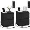 VASAGLE KAILYN Collezione - Comodini con Ciabatta Elettrica, Set di 2 Tavolini, 2 Cassetti, 2 Prese AC, 2 Porte USB-A, Soggiorno Camera da Letto, Moderno, Nero Ebano LET821B02
