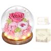MAMAMIKO Rosa Stabilizzata Vera con Luci LED, Rosa Eterna La Bella e la Bestia, Regalo per Lei, Donna, Fidanzata, Mamma, Idee Regalo per San Valentino, Compleanno, Anniversario, Festa della Mamma (Rosa)