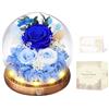 MAMAMIKO Rosa Stabilizzata Vera con Luci LED, Rosa Eterna La Bella e la Bestia, Regalo per Lei, Donna, Fidanzata, Mamma, Idee Regalo per San Valentino, Compleanno, Anniversario, Festa della Mamma (Blu)