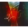 The Night Terrors Spiral Vortex/Back to Zero (CD) Album
