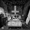 Aktiv Doedshjaelp / Passiv Doedshjaelp Split (Vinyl LP) 7" Single