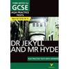 Anne Rooney Dr Jekyll and Mr Hyde AQA Practice Tests with answers Yo (Tascabile)