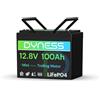 Dyness Batteria LiFePO4 12V 100Ah, Mini Batteria al Litio con BMS 100A, Protezione a Basse Temperature, per Nautica, Camper, Impianti Solari off-grid, Fotovoltaico Accumulo