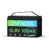 Dyness LiFePO4 Batteria al Litio 12V 100Ah a Ciclo profondo con 100A BMS, Protezione Dalle Basse Temperature, Per Campeggio, Barche, Accumulo Solare Domestico, Off-grid