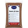 Valsapori Semi di Lino per Pane, Yogurt, Porridge e Insalate, 100 g | Per frullati, biscotti, focacce e impasti dolci o salati; versatili anche come guarnizione per preparazioni fredde