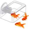 Generico Alimentatore per Pesci da Acquario - Generico | Distributore Automatico di Cibo per Pesci | Alimentatore Fisso con | Ampia Area di Alimentazione
