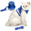 Ranphy Pettorina e guinzaglio per Gatti a Prova di Fuga Regolabile, Catarifrangente Traspirante in Morbida Rete Imbottita per Cuccioli Gatti Gilet per Allenamento all'aperto a Piedi Blu L