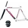 LSRRYD 700C Telaio Bici a Scatto Fisso 53 55 58CM Freno A C 100/120mm QR