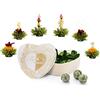 Creano Mix Fiori di Tè Verde - Set Regalo a Forma di Cuore con 6 Fiori di Tè Verde- Tè Sfuso Gourmet in Confezione Decorativa Perfetta per Regalo Donna